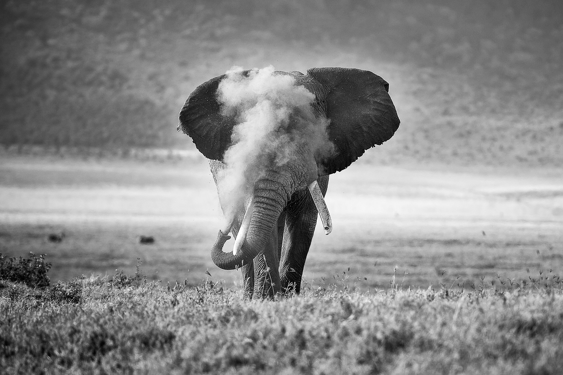 Nature TTL Photographer of the Year 2022