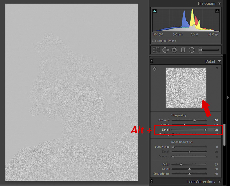How to Sharpen Photos in Lightroom Nature TTL