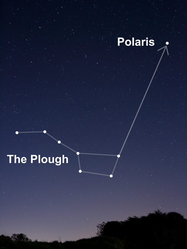 Star Trails: How to Take Captivating Night Sky Photos | Nature TTL