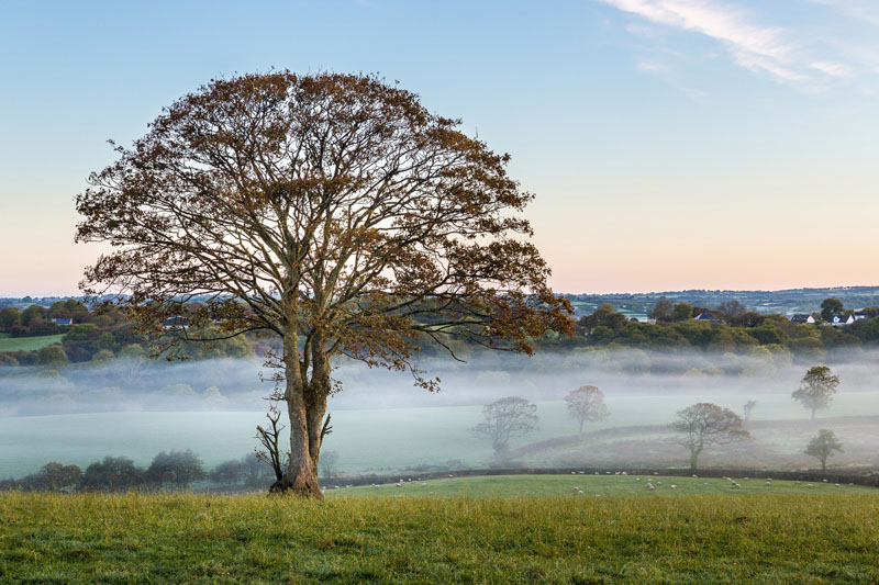 What's the Best Lens for Landscape Photography? Nature TTL What's the Best Lens