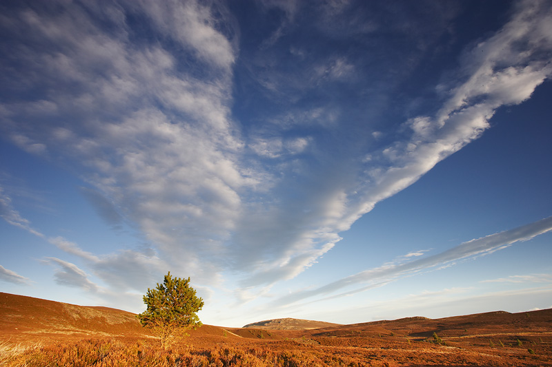 how to create a simple time lapse nature ttl