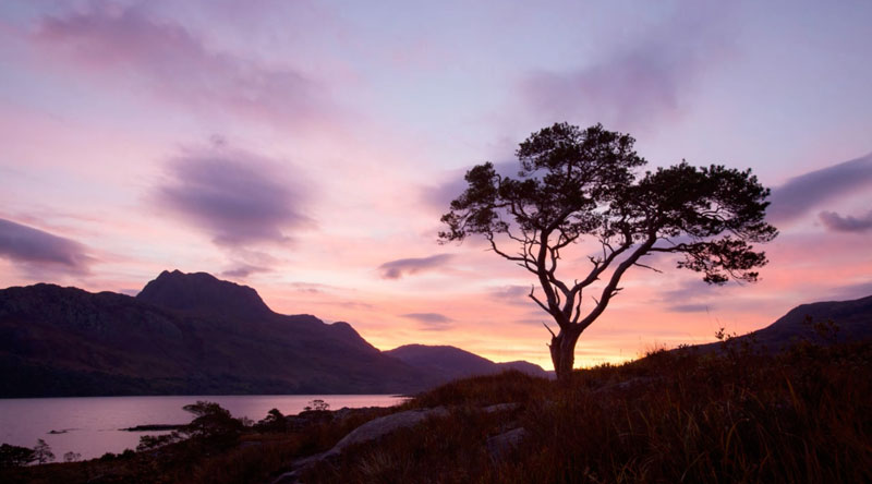 how to create a simple time lapse nature ttl