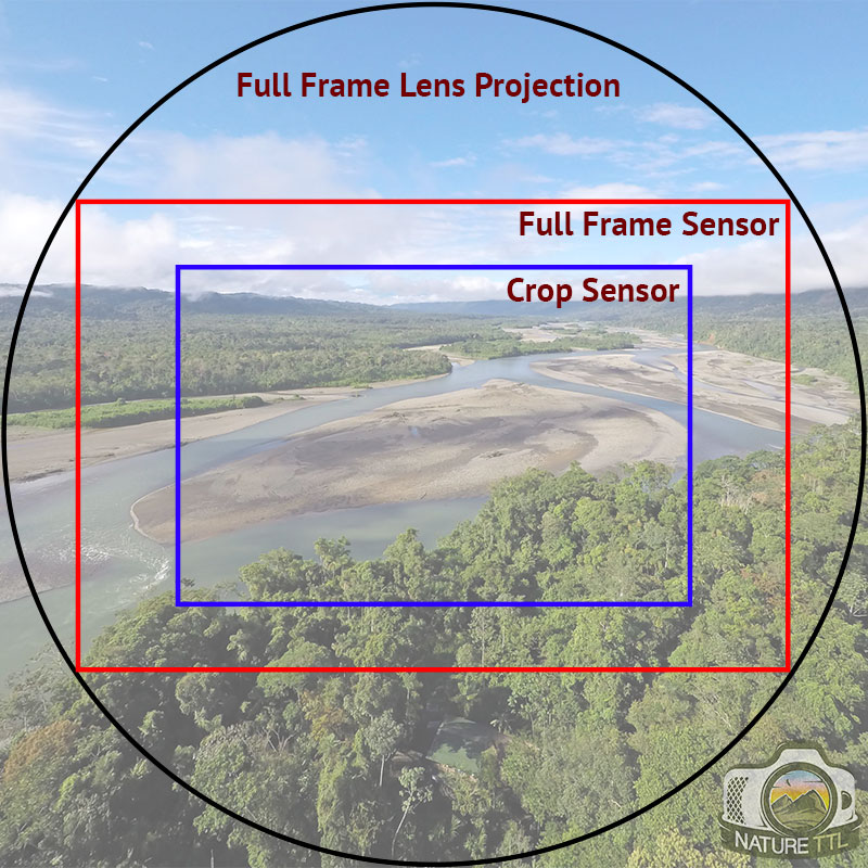 difference between full frame and crop sensor difference between full frame and crop sensor