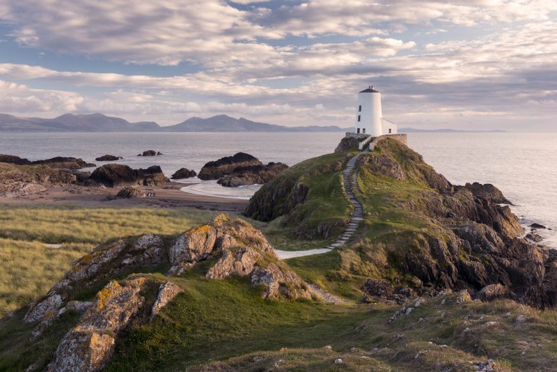 How to crop and resize images Adobe How to crop and resize images Adobe