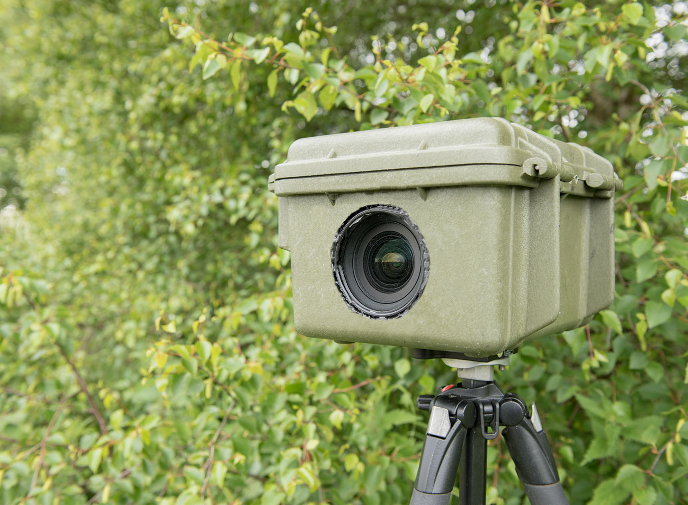 dslr camera trap - camera traps for wildlife photography