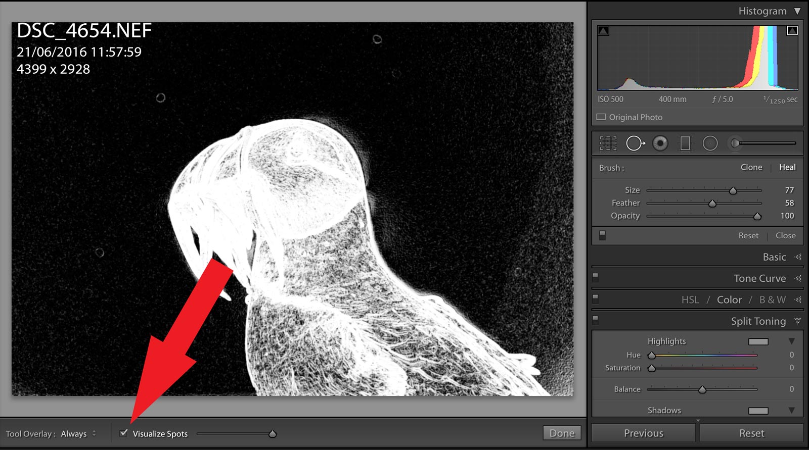 dust spots lightroom show Spots Dust Remove How Find to & All Quickly in Lightroom