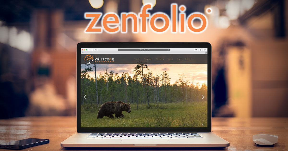 6 Reasons Every Photographer Needs a Website | Nature TTL