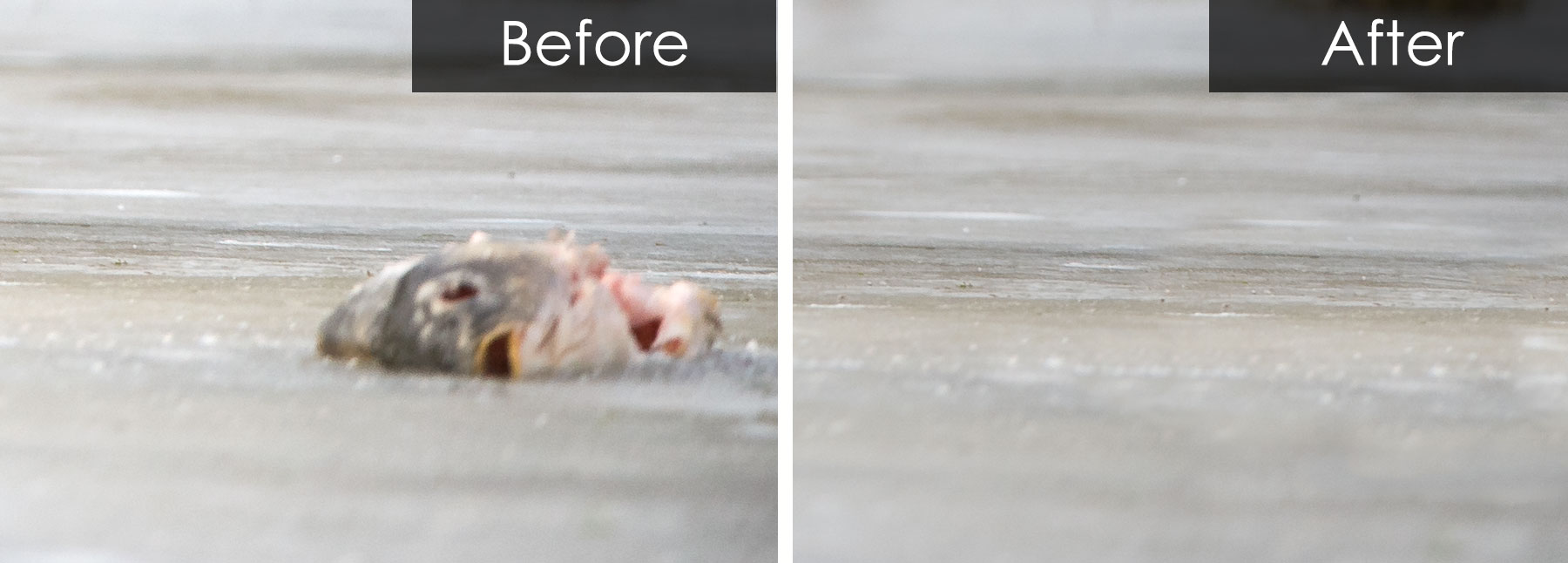 How to Remove Objects from Photos with Clone Tool Nature TTL