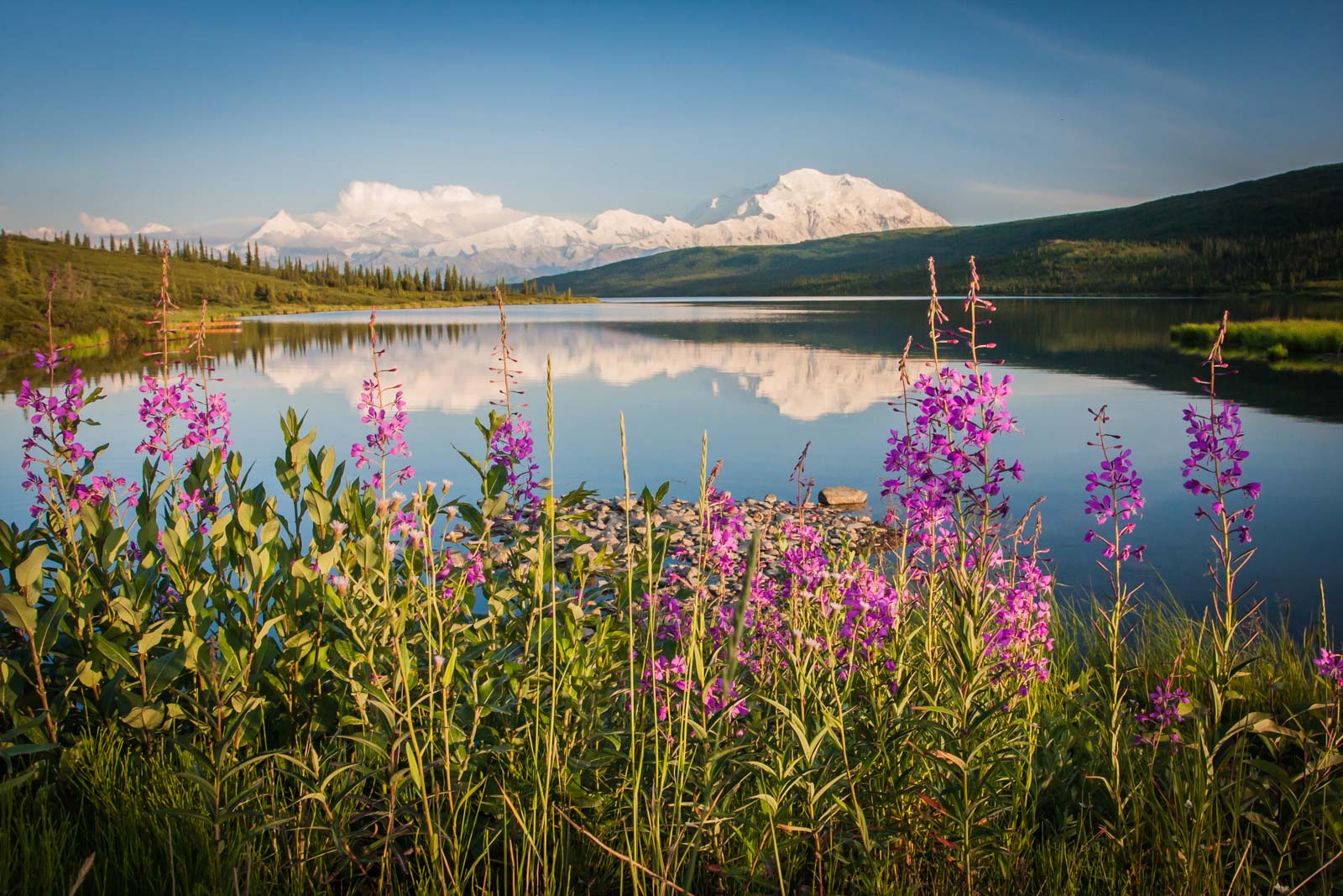 Top 5 Locations for Nature Photography in Alaska Nature TTL