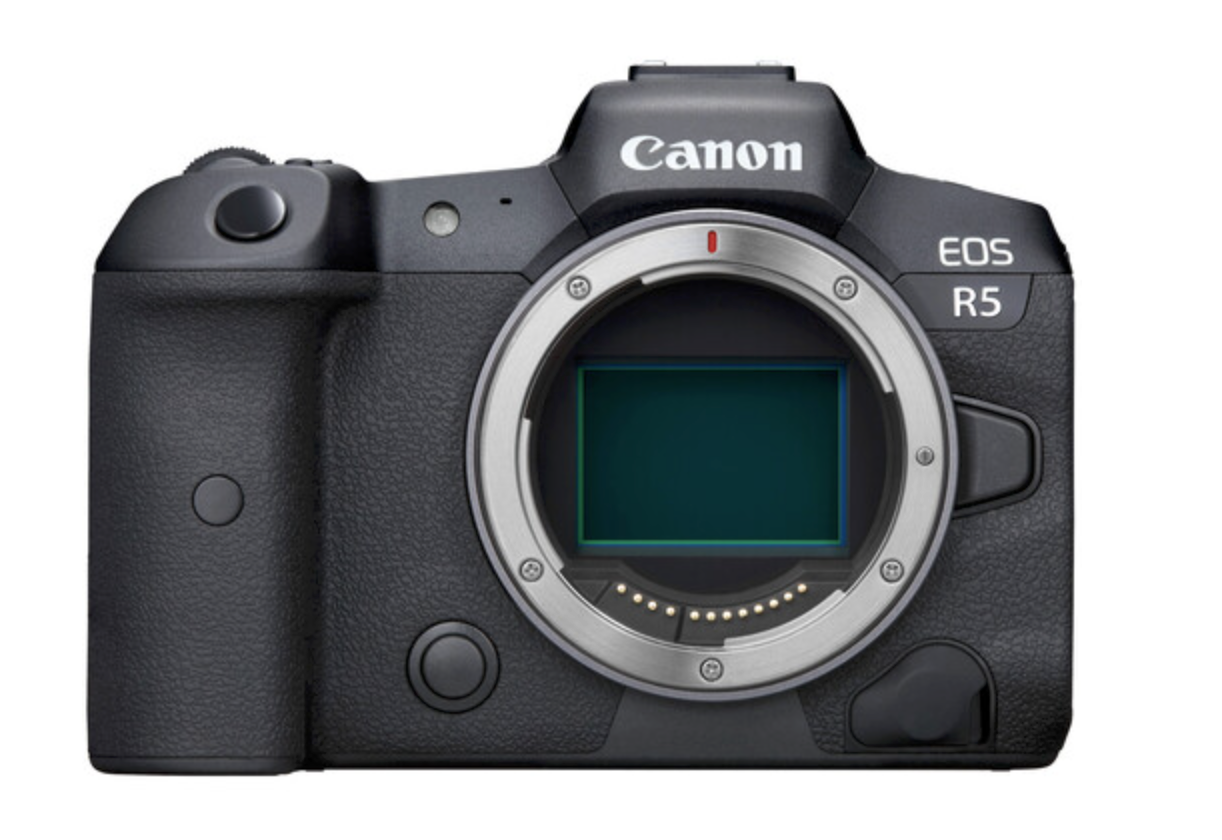 What's the Best Camera for Wildlife Photography in 2022? Nature TTL