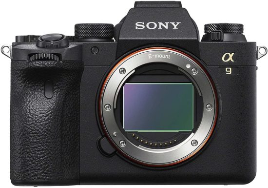 What's the Best Camera for Wildlife Photography in 2023? - Nature TTL What's the Best Camera for Wildlife Photography in 2023? - Nature TTL
