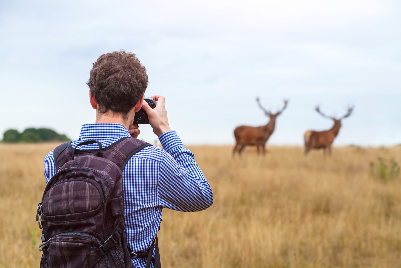 What's the Best Camera for Wildlife Photography? Nature TTL