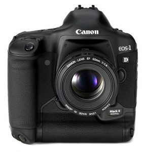 best wildlife photography camera choice - canon 1dx