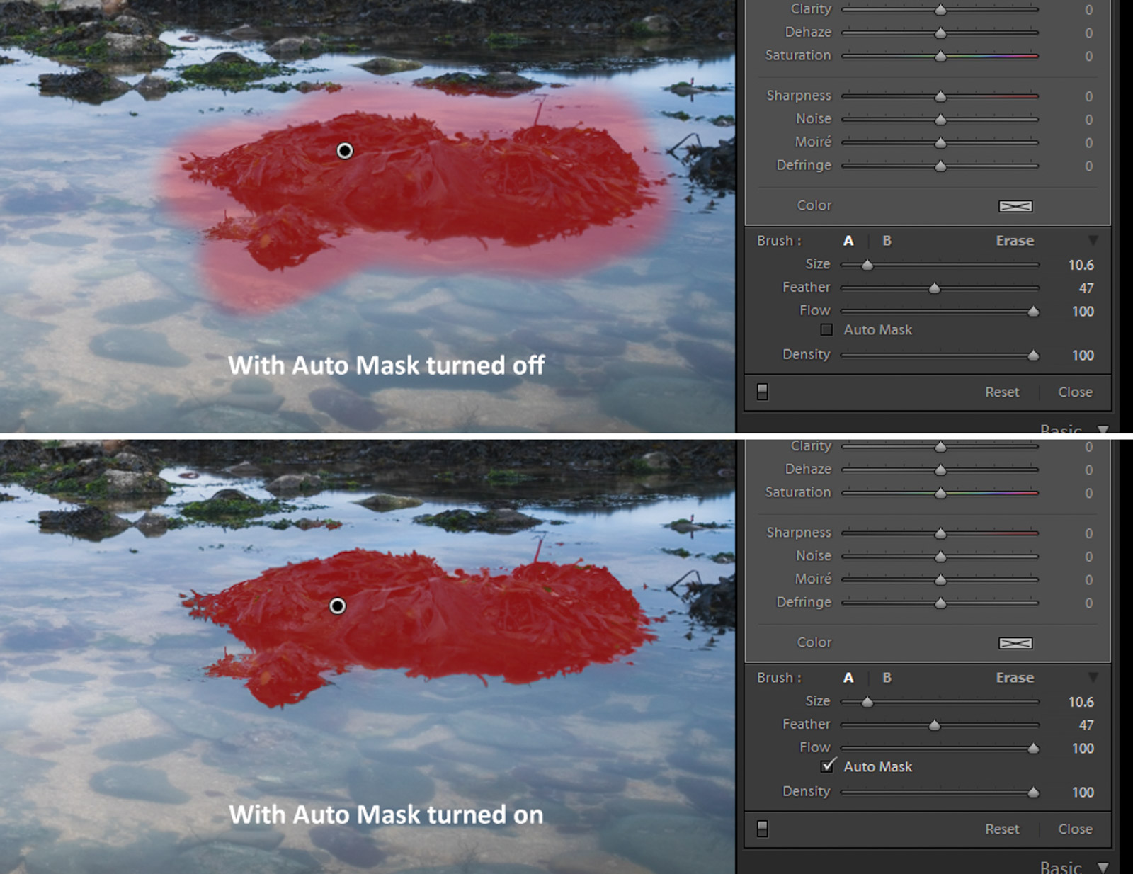 How to Use the Adjustment Brush in Lightroom Nature TTL