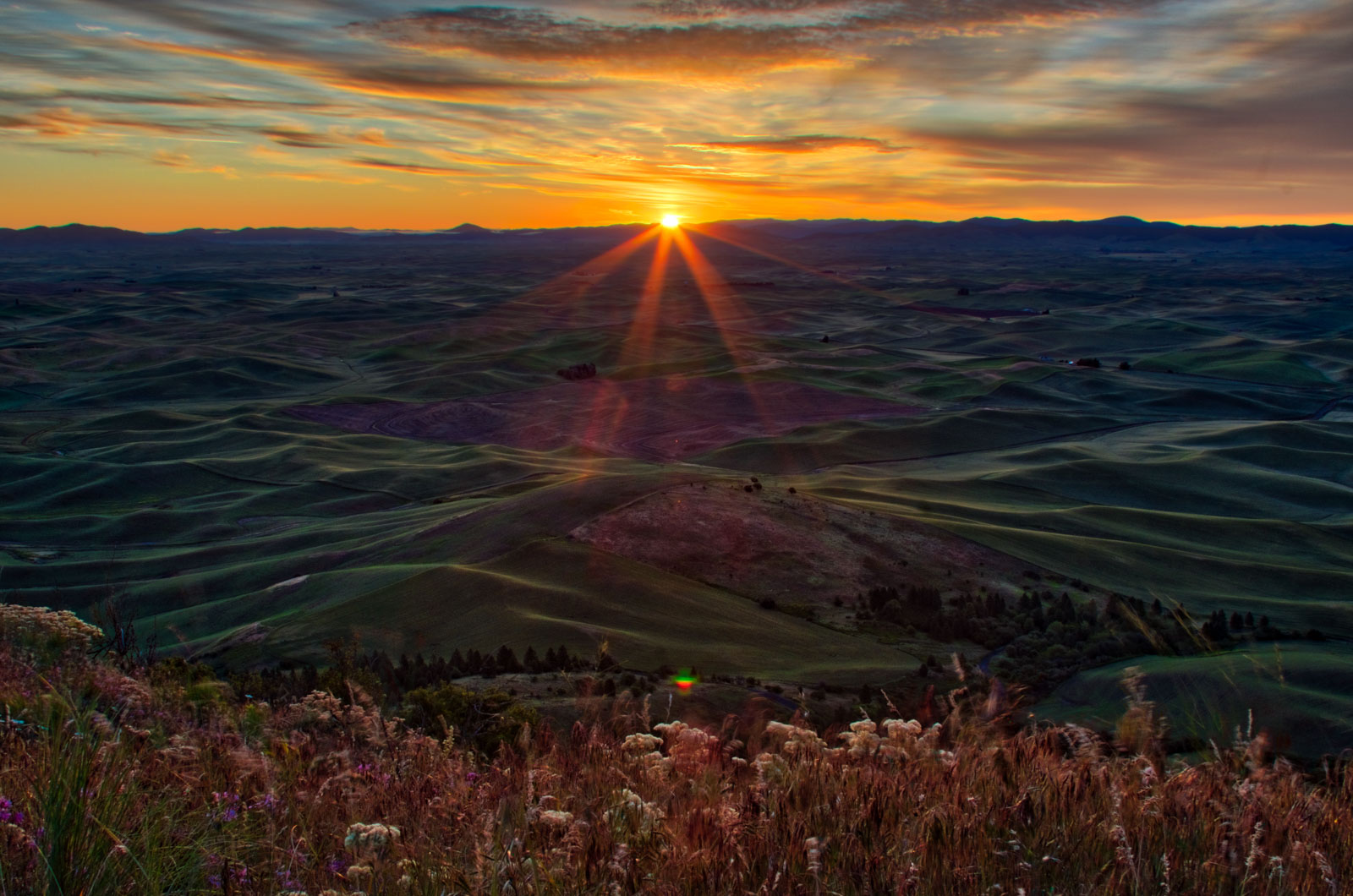 A Beginner's Guide to HDR Photography Nature TTL