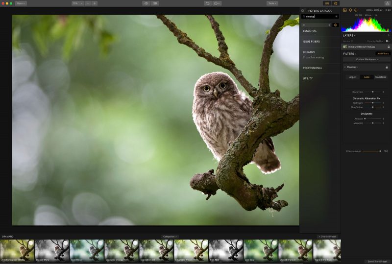 luminar 2018 download free luminar 2018 download free