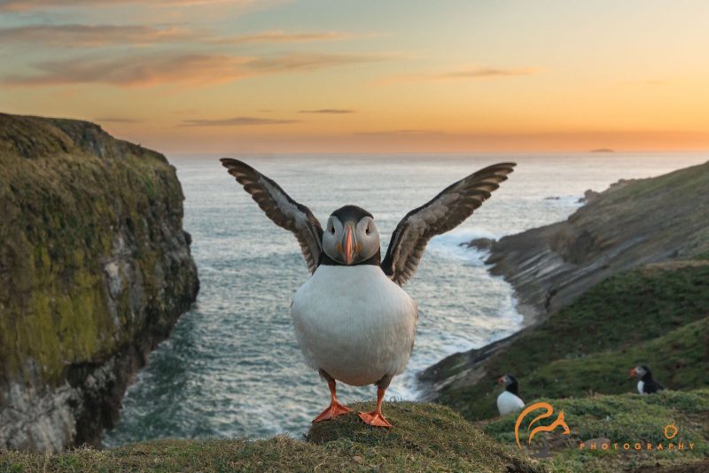 rule of thirds composition tips