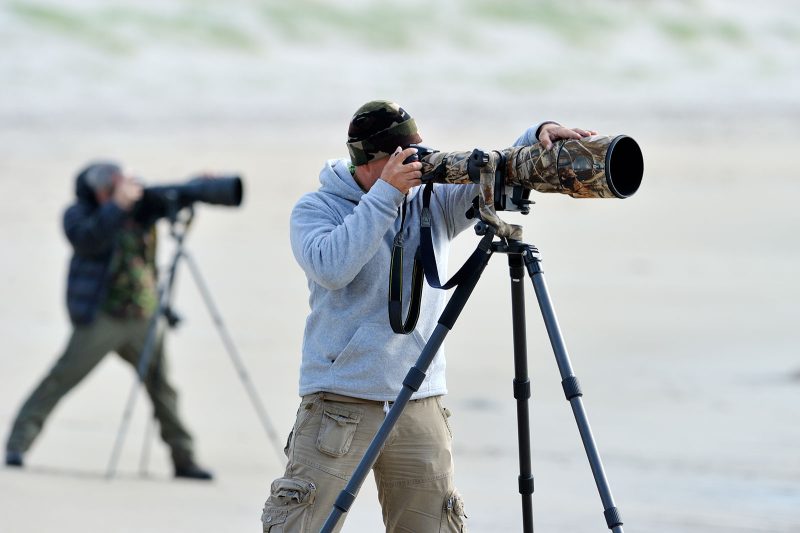 wildlife photography beginners