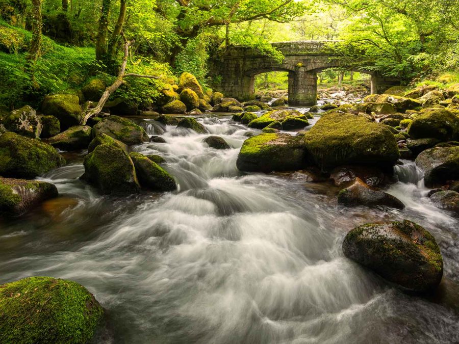 How to Photograph Spring Landscapes Nature TTL