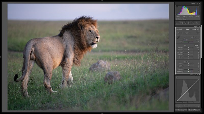 edit black and white wildlife photographs