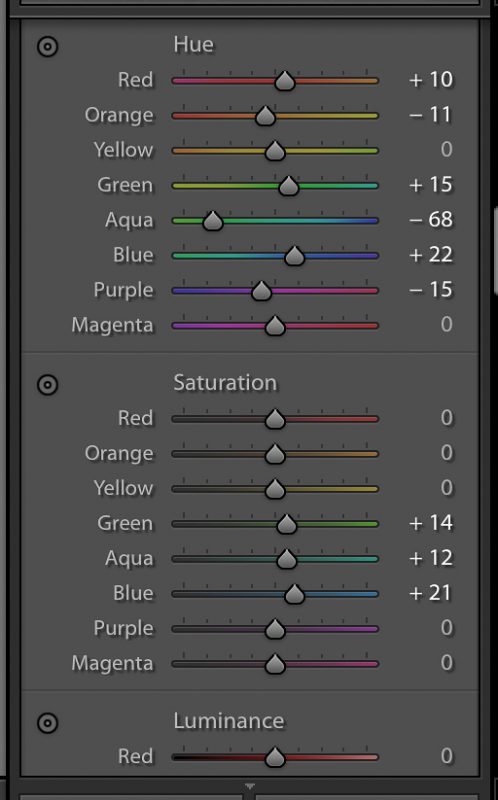 editing panel in lightroom