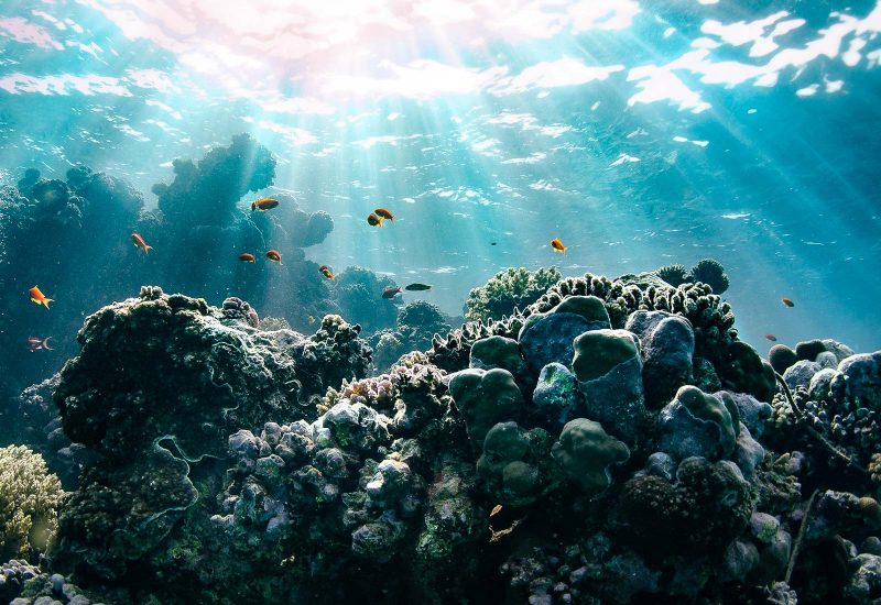 Underwater photo editing 
