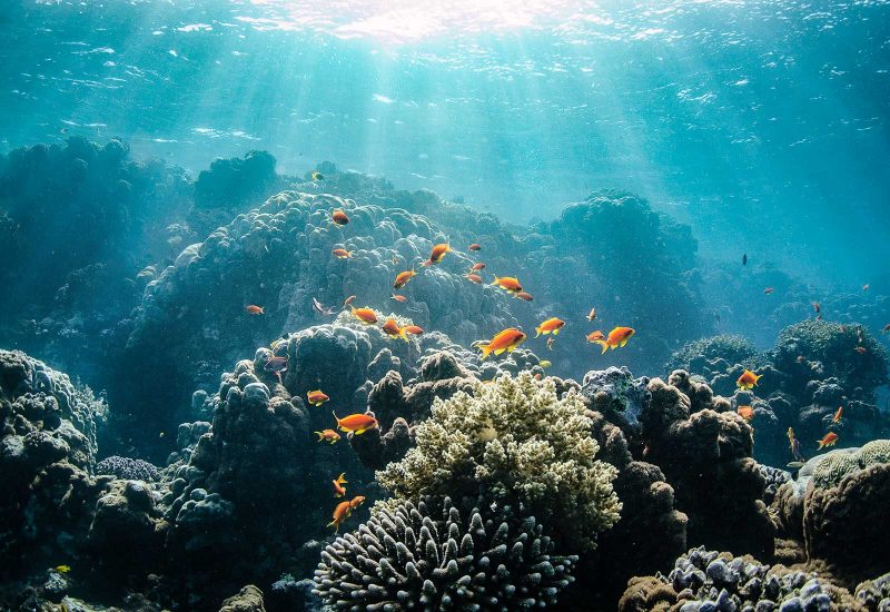 Edited underwater photo