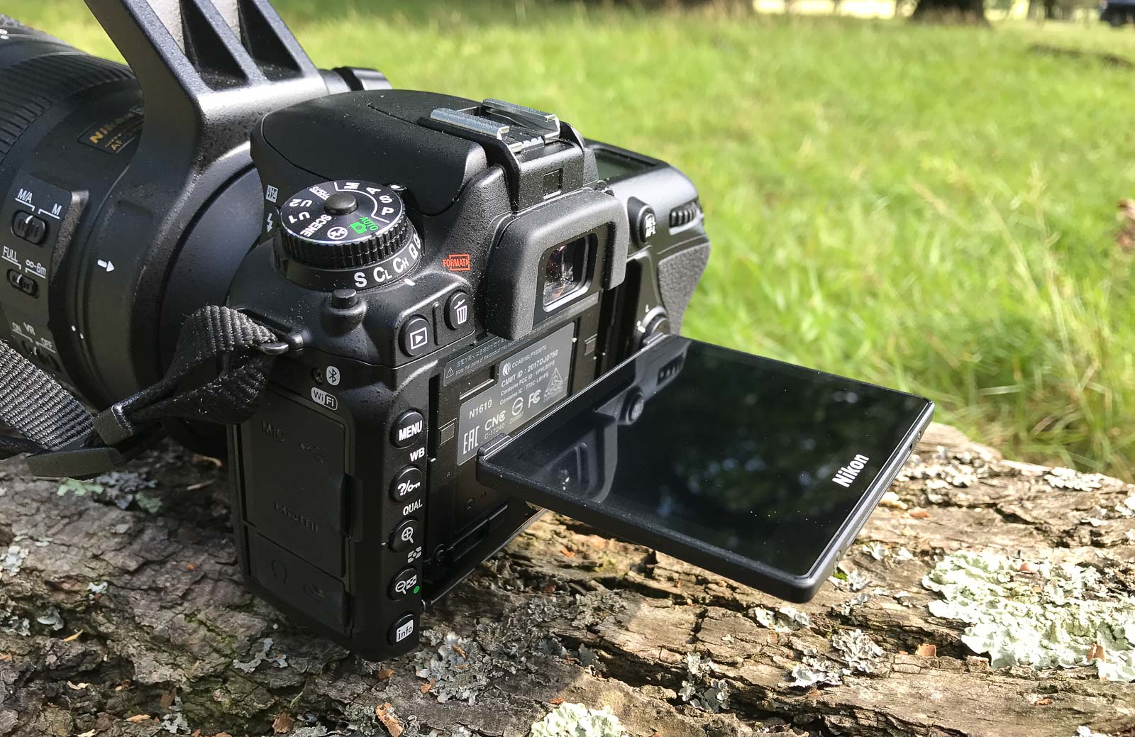 Nikon D7500 Review A Realistic Field Test for Wildlife Photographers