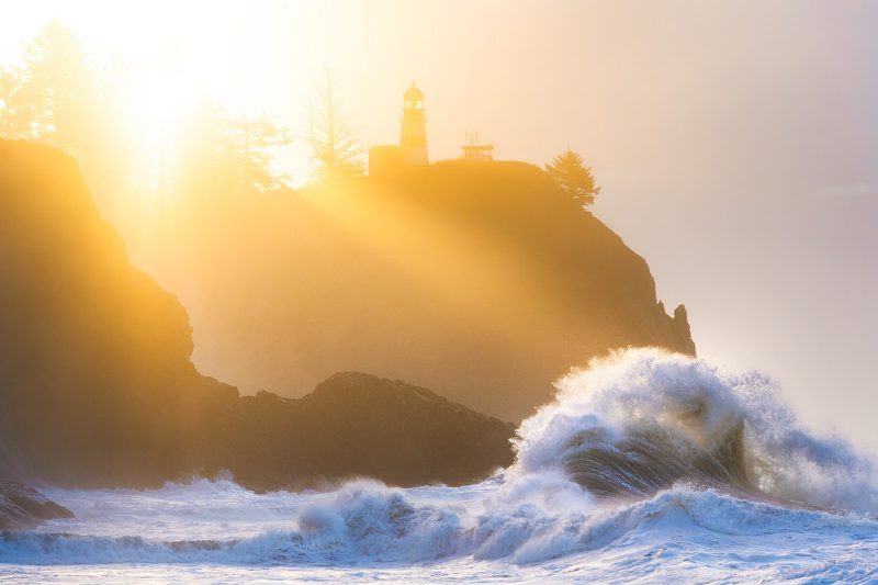 Backlit coastal landscape