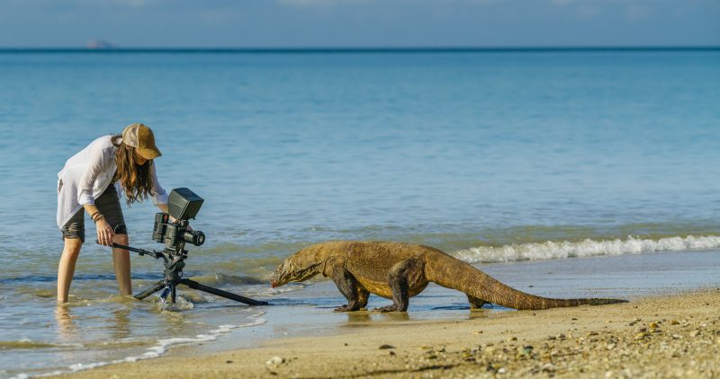 Shannon Wild photographing a komodo dragon