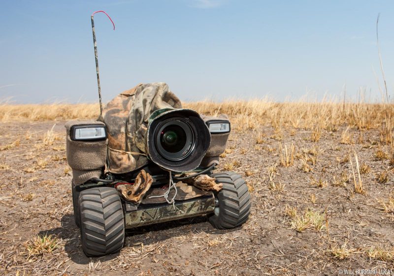 BeetleCam in Tanzania