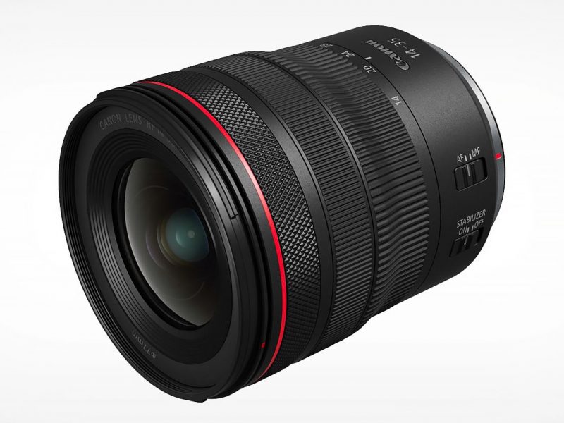 The Best Wildlife Lens for Canon Photographers Nature TTL