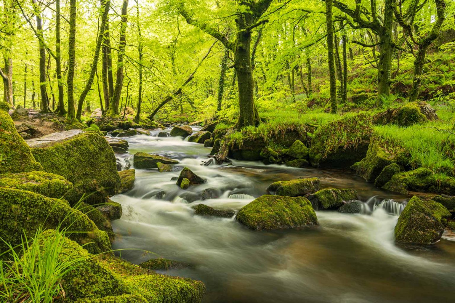 How To Capture Movement In Landscapes Nature TTL How To Capture Movement In Landscapes Nature TTL