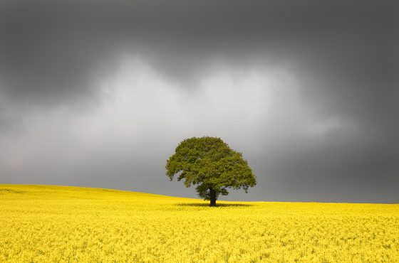 landscape-photography-in-yorkshire-guide