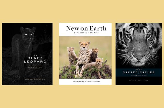 cover-best-books-to-buy-for-photograohers-this-chrostmas-wildlife-nature-ohotograohy-albums-books-enthusiast