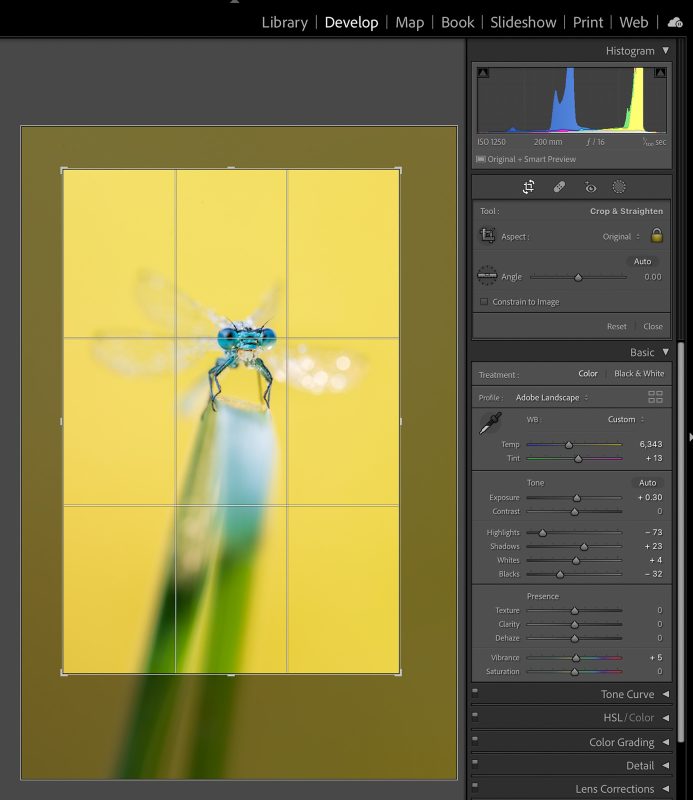 cropping your macro image in lightroom