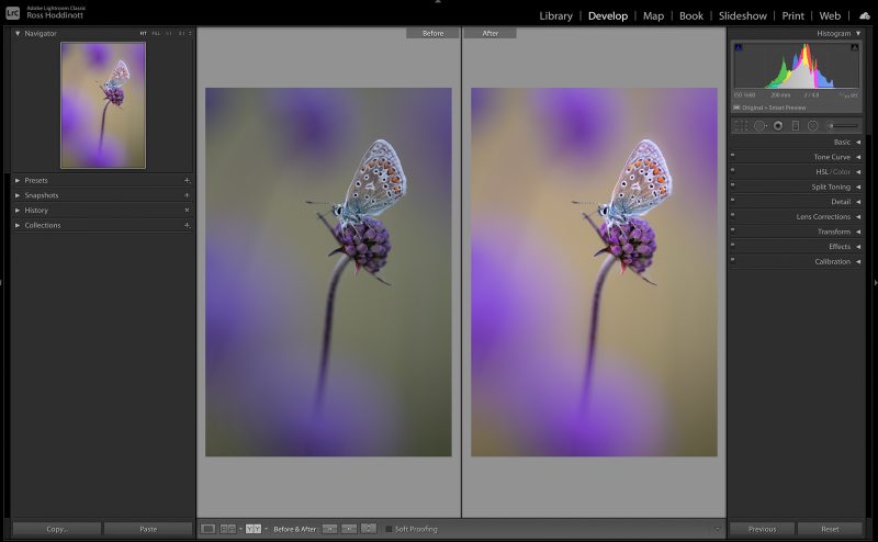 Before and after - editing macro and up-close images