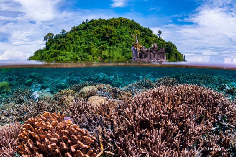 How to photograph coral reefscapes