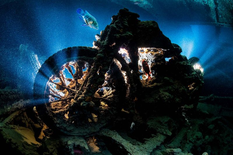 Interview with Alex Mustard, underwater photography