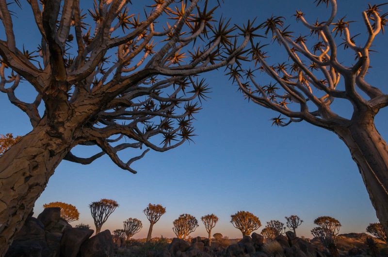 Namibia landscape photography destinations
