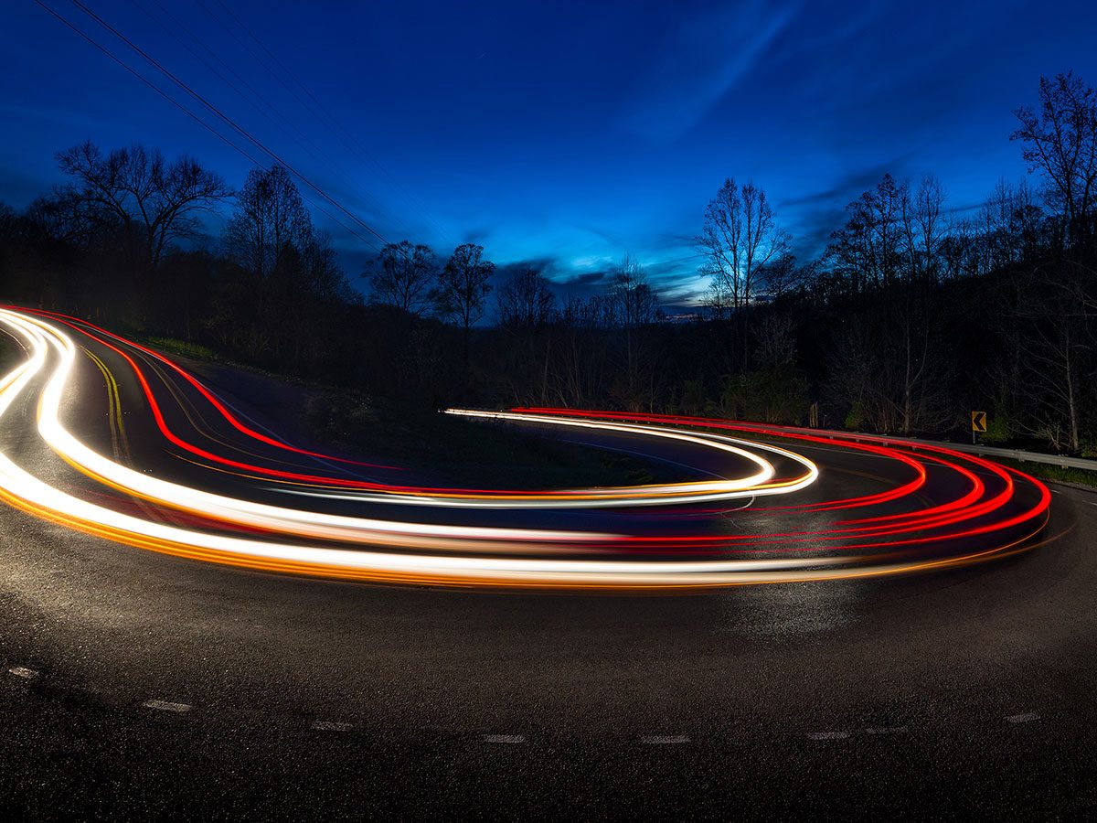 Photographing a Species Indepth Nature TTL