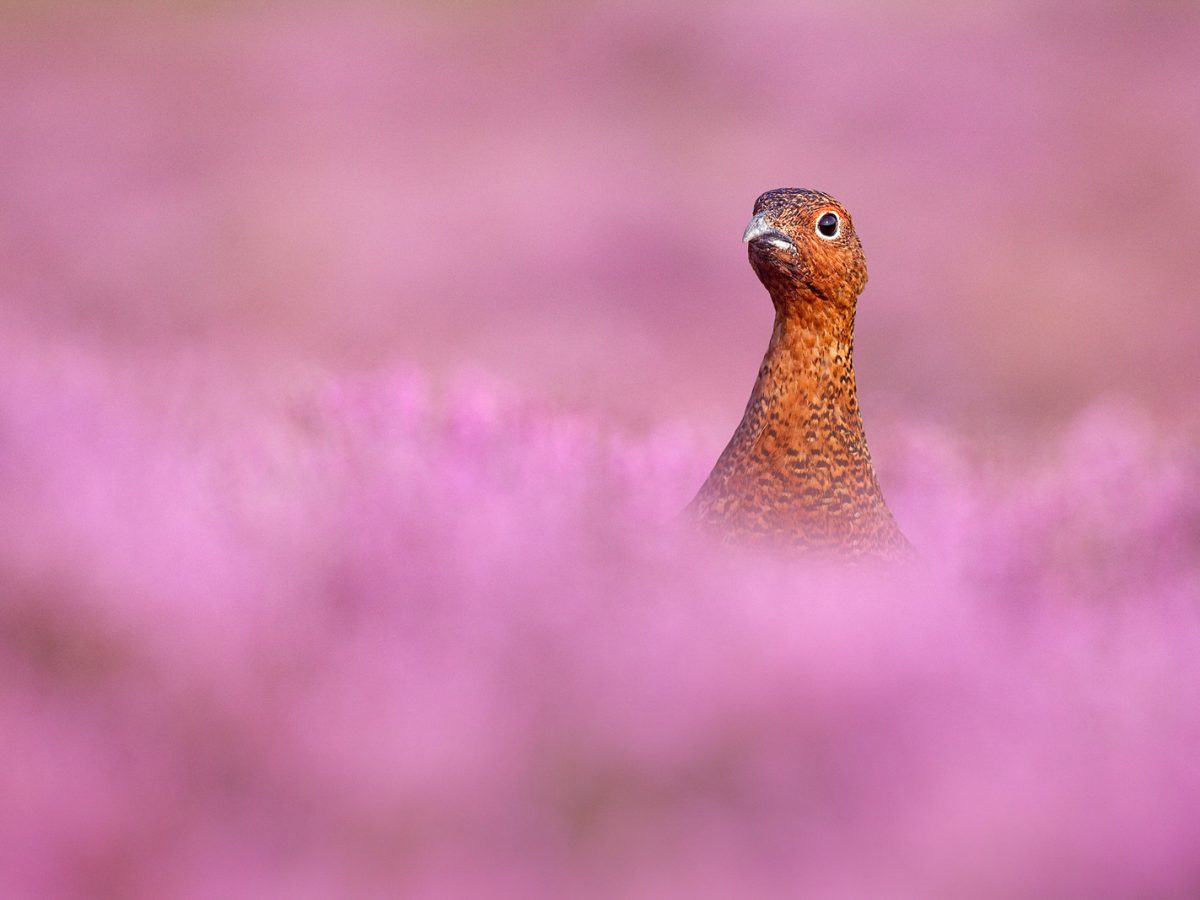 How to Develop a Photographic Style