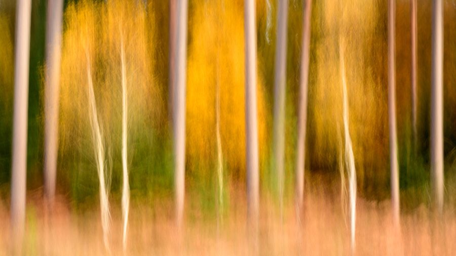 how to use intentional camera movement
