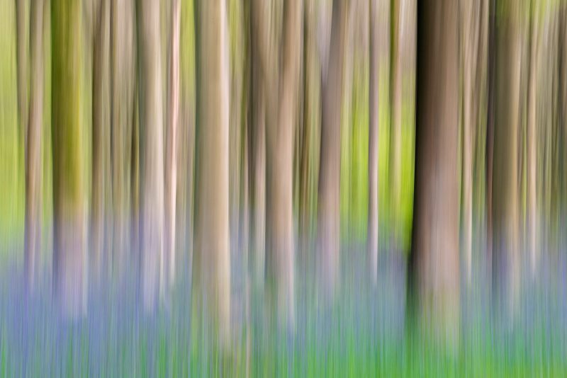how to use intentional camera movement 