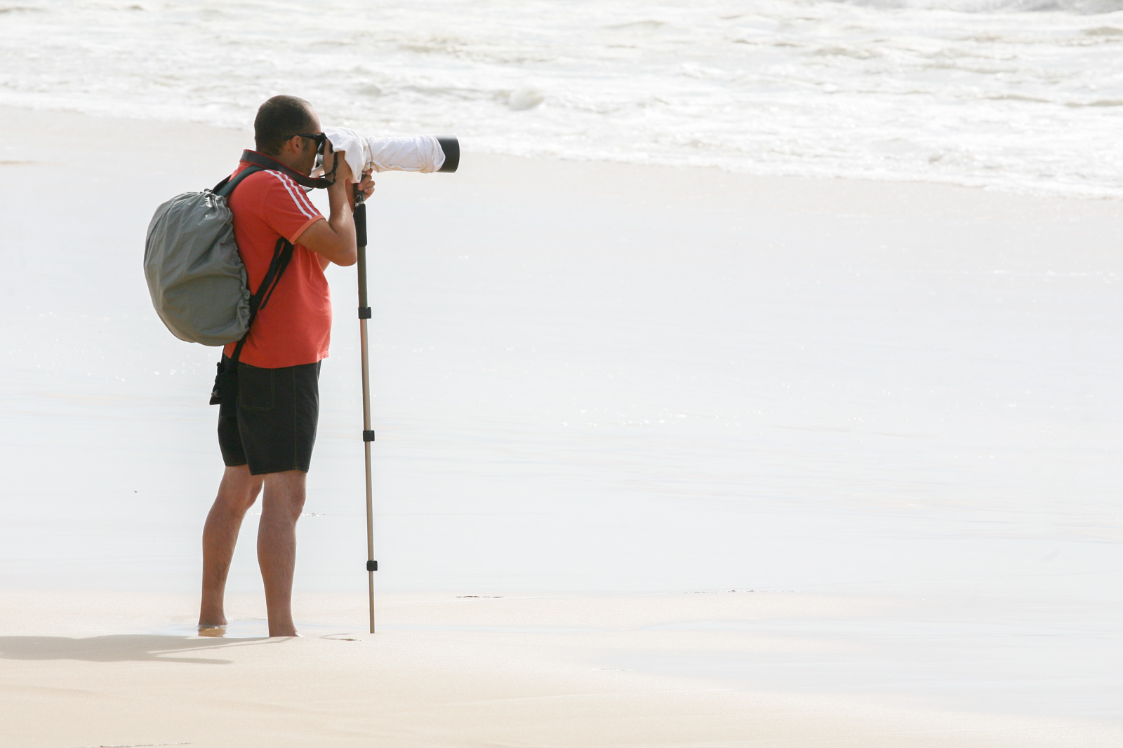 How to Use a Camera Monopod Nature TTL