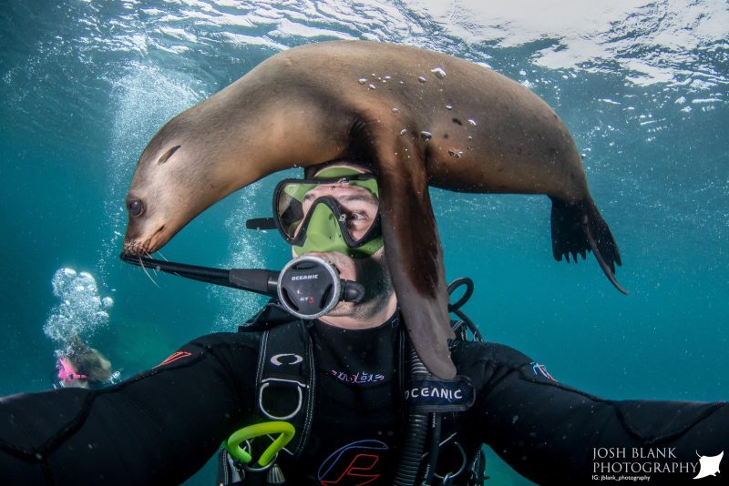 Sea lion photography tips Baja California underwater photography