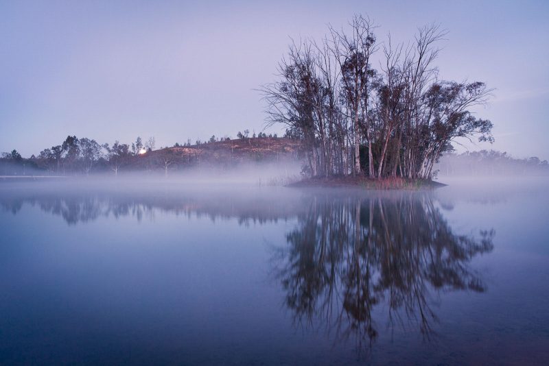 using morning mist in landscape photography