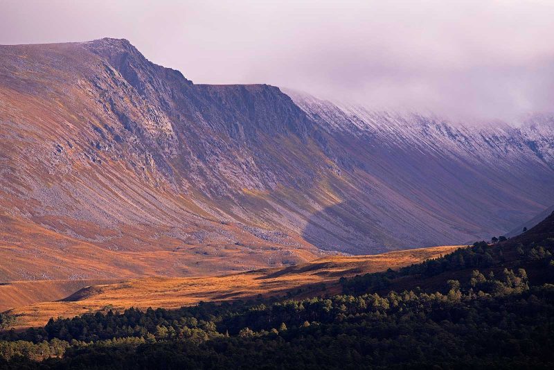 Cairngorms photography tips