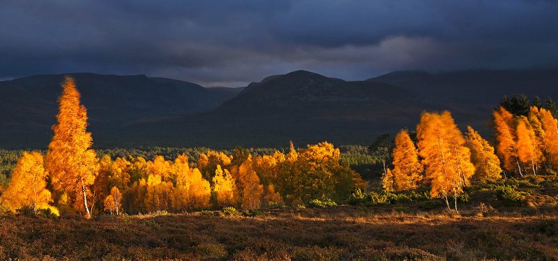 Photographing the Cairngorms