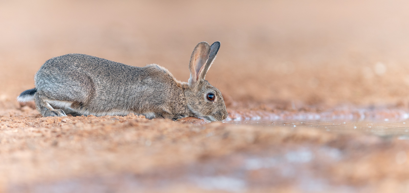 Photography NFTs How to Make Photos Into NFTs